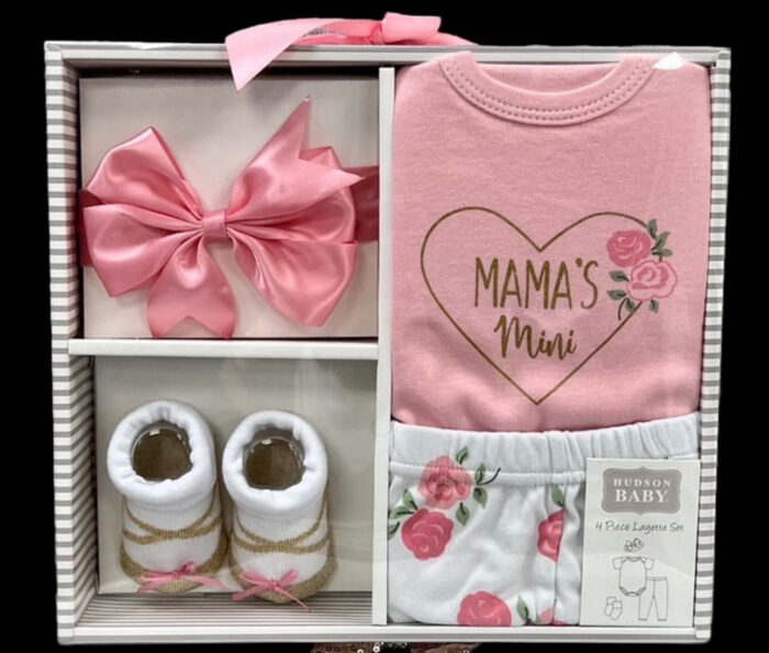 HUDSON BABY SUIT SETS